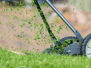 Council Grass Cutting - Autumn Update