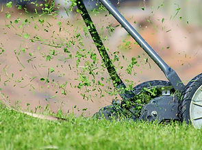 Lawn Mower Setup
