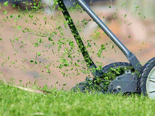 Are You Effectively Mowing Your Lawn?