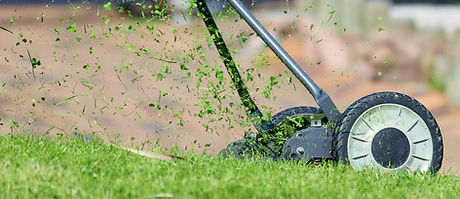 Lawn Mower Setup