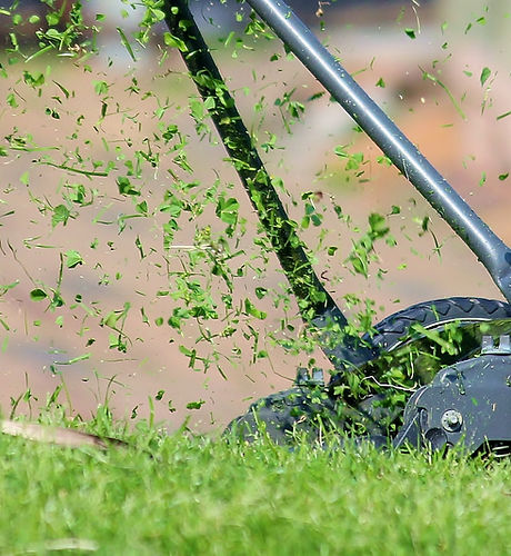 Lawn Mower Setup