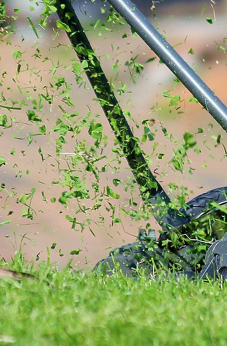 Lawn Mower Setup