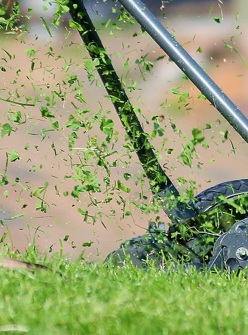 Lawn Mower Setup