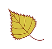 Feuille 5.png
