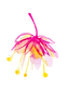 21.png
