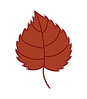 Feuille 3.png