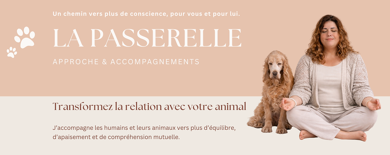la passerelle.png