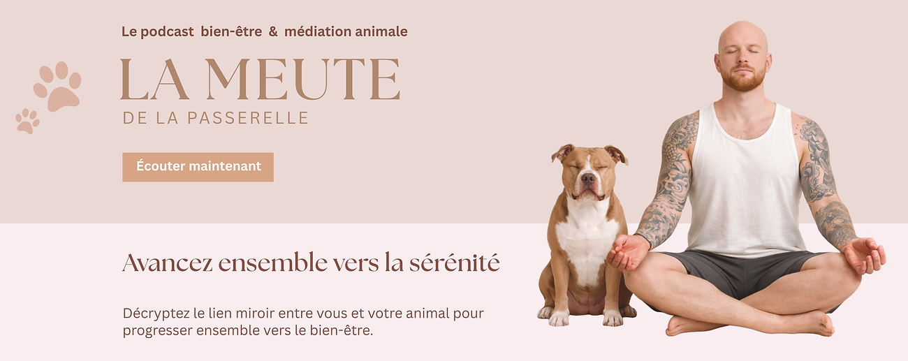 la meute - podcast.png
