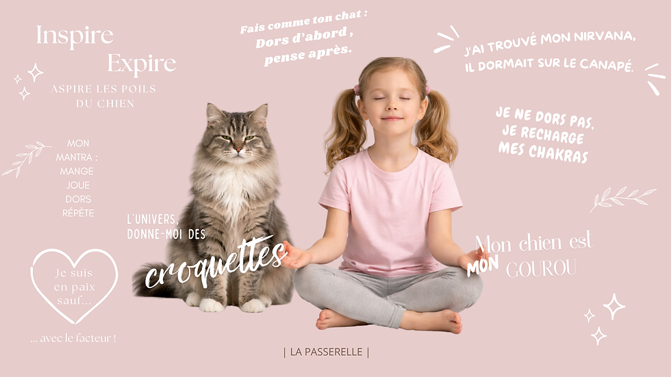 Histoire du soir