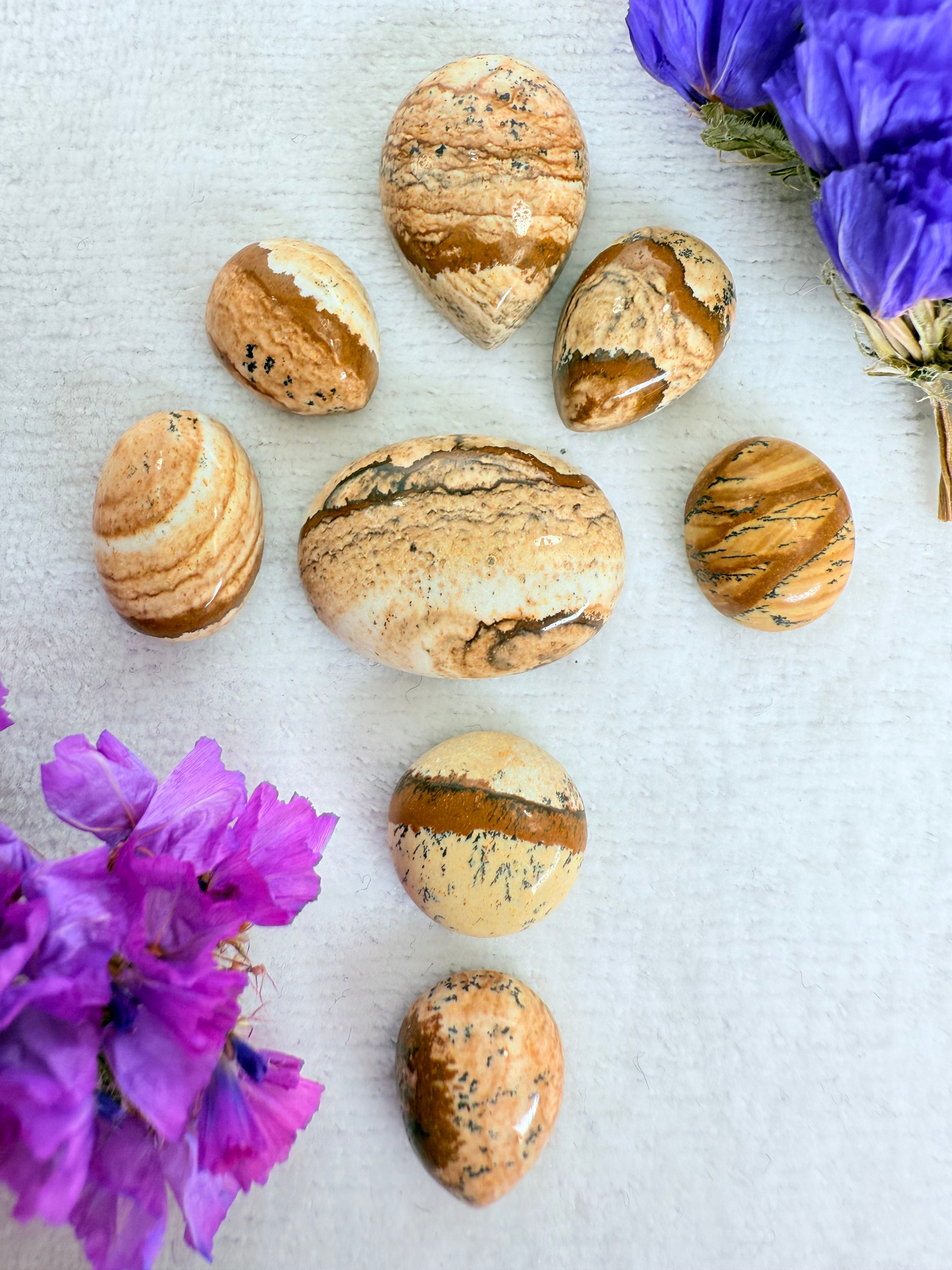 4. Lote JASPE madera