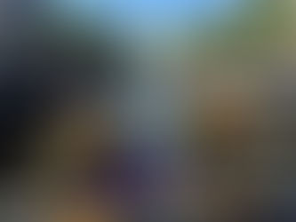 The Netherlands 🇳🇱