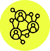 network connection