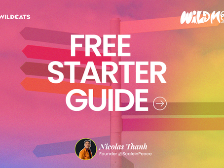 Free Starter Guide by Nicolas Thanh