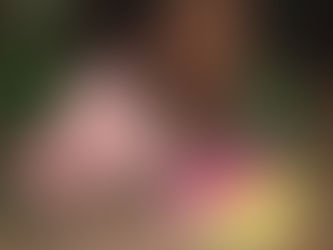 這個看似不平凡卻是很平凡的家