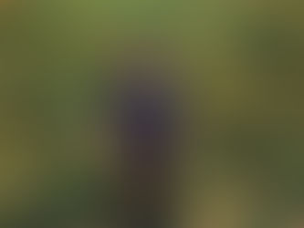 你 真 的 很 不 錯