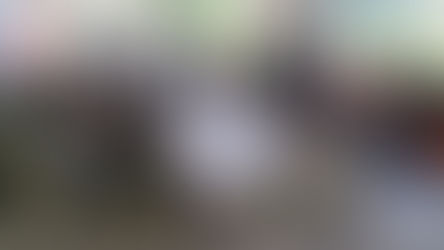 每周一抱 第001周