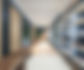 Experiential Design Consultation
