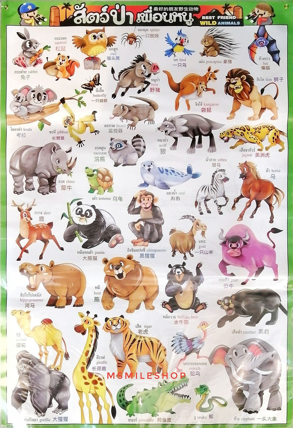 โปสเตอร์รูปสัตว์ป่าเพื่อนหนู 39 ชนิด