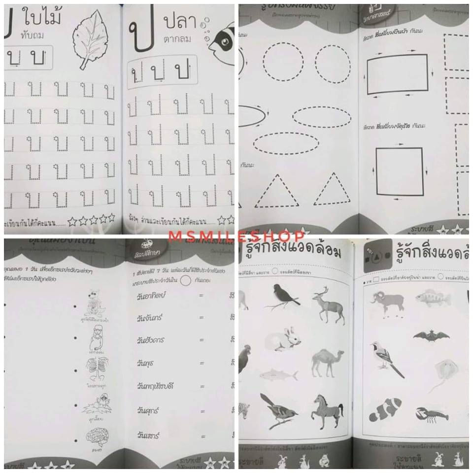 ภาพขนาดย่อ: ชุดแบบฝึกหัดเตรียมความพร้อมสำหรับเด็กปฐมวัย 8 เล่ม