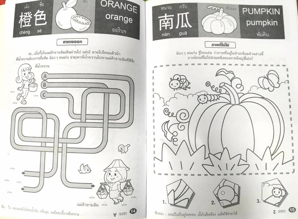 ภาพขนาดย่อ: เด็กฉลาดกับ 3 ภาษาพาเพลิน จีน อังกฤษ ไทย ชุด 4 เล่ม
