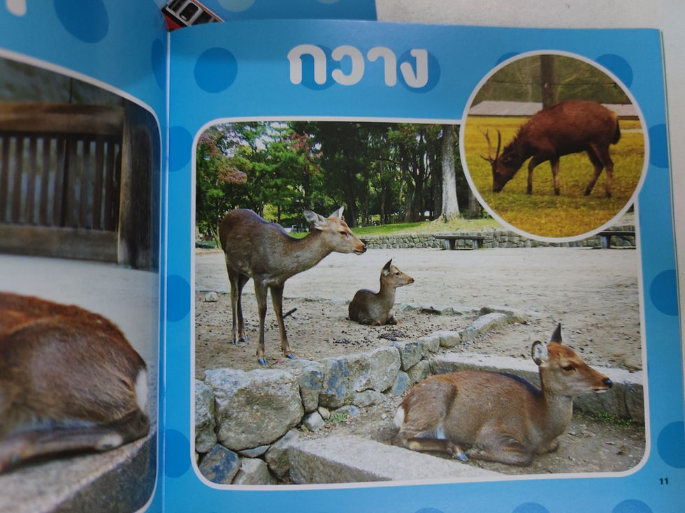 ภาพขนาดย่อ: ชุดหนังสือศัพท์ภาพ ยานพาหนะ และ สัตว์โลกน่ารัก 2 เล่ม