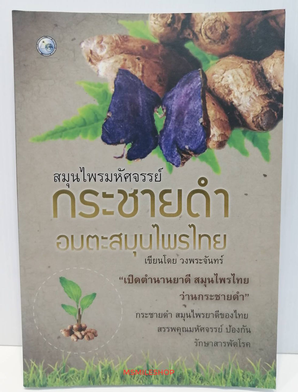 สมุนไพรมหัศจรรย์ กระชายดำ อมจะสมุนไพรไทย