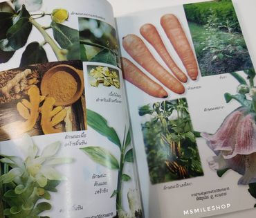 ภาพขนาดย่อ: หนังสือสูตรสมุนไพร