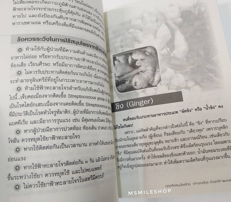 ภาพขนาดย่อ: ฟ้าทะลายโจร ต้านหวัด 2009
