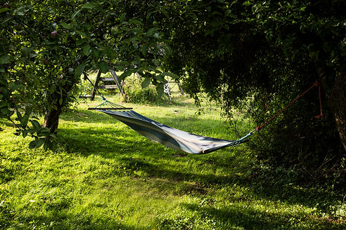 7las...120 small.jpg