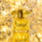 1B4A0479.jpg