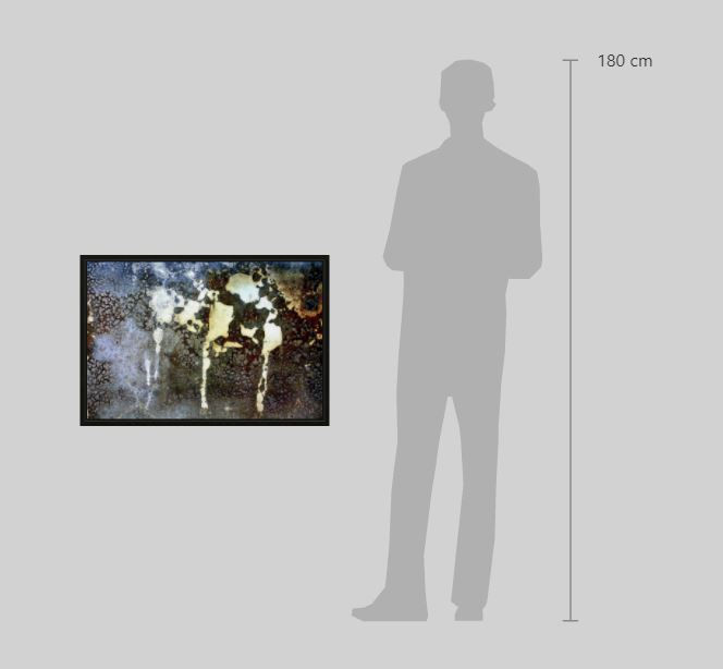 Miniature : OX5