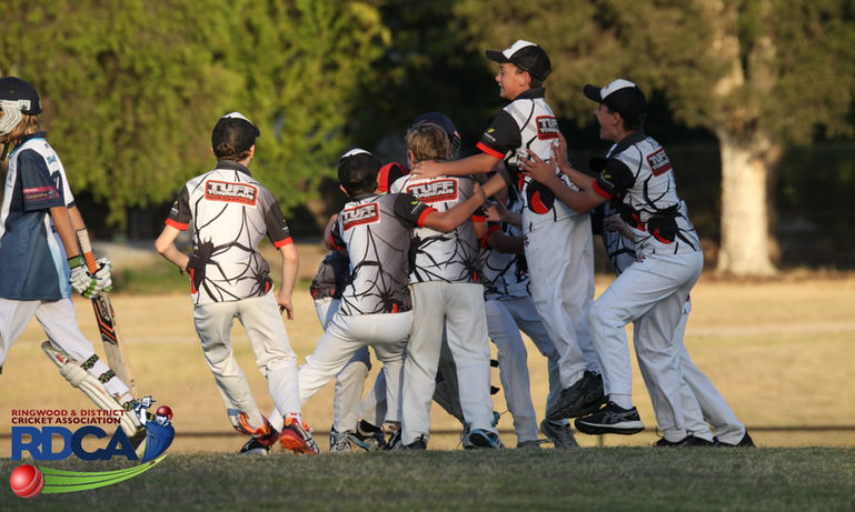 Kilsyth Under 12s wicket celebration