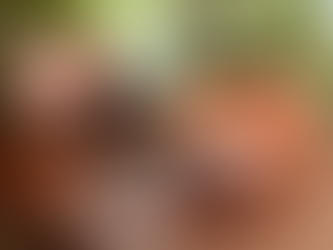 Alfajores de maicena integrales con naranja🍊