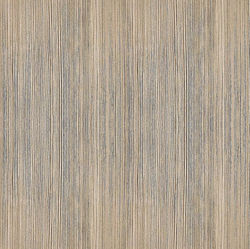 GS40R--Fantasia_360x