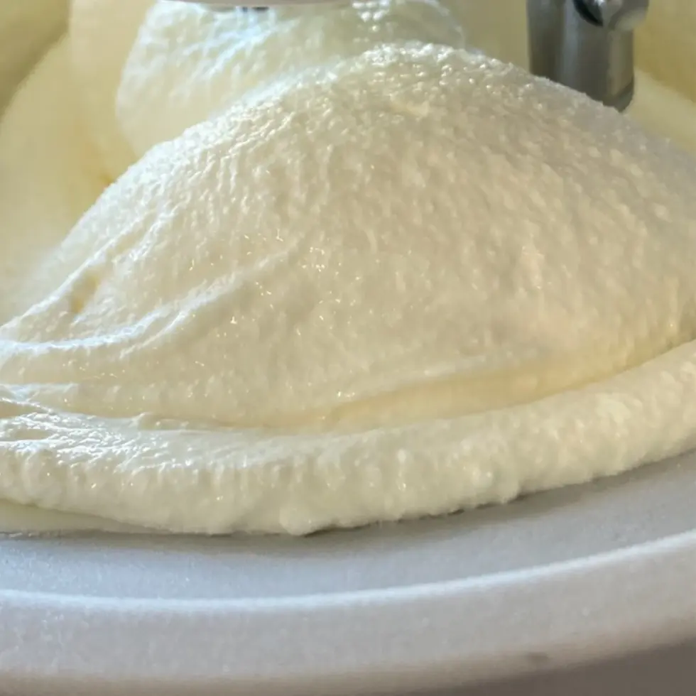 Vanilla Ice Cream