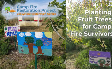 Facebook-Event-Fruit-Trees-CFRP-1080x675.jpeg