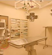 Medical Grade Shock Absorbers Applications