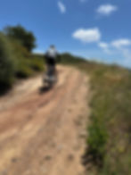 Man on a mountain bike riding uphill on a sunny day.