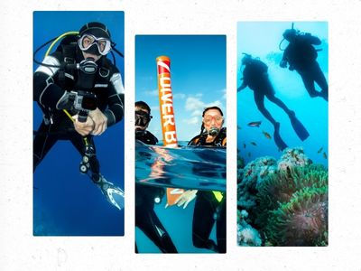 3 images of people scuba diving in Laguna Beach.
