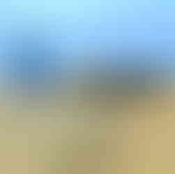 Woman smiling on a large rock with bushes behind.