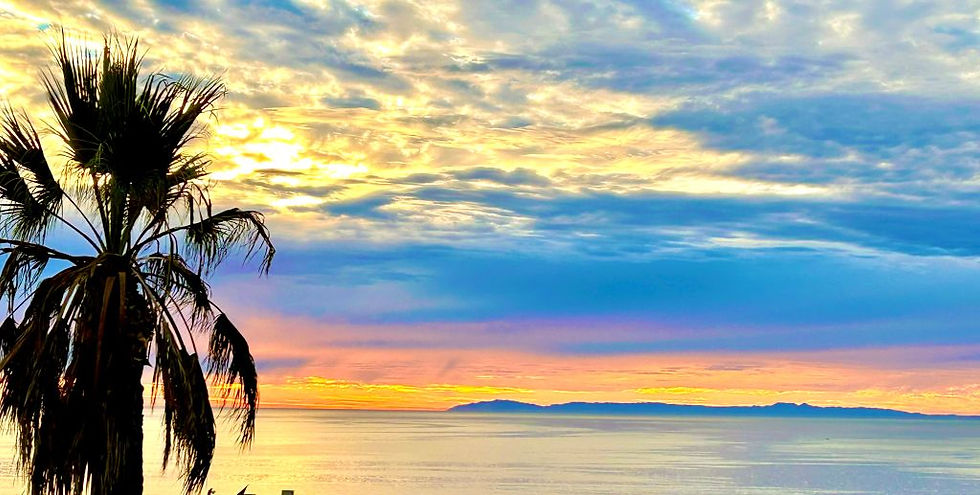 Palm tree silhouette against a colorful sunset sky over a calm ocean, with clouds painted in yellow and blue. Peaceful and serene scene.