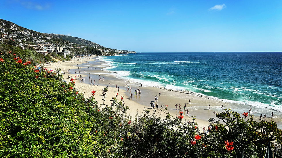 Beach with many people walking on the shore.