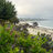 Laguna Beach coastline after a storm, with kelp and debris scattered across the sand beneath an overcast sky.