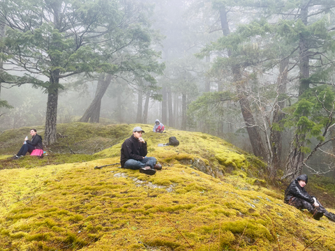 four people sitting down in amossy forest