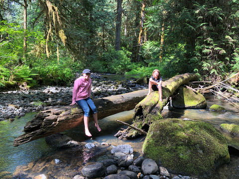 2 people sitting on logs crossing water in the forest