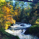 rapids in a fall forest