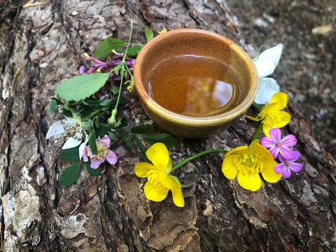 cup filled with liquid surrounded by yellow and pink flowers on log