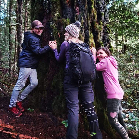 three people holding hands around a large tree in the forest