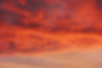 pexels-arthuverny-426983.jpg