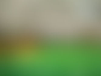 "МИНИ-ФУТБОЛ - В ШКОЛУ"УСПЕХ ЧАПЛЫГИНЦЕВ В ГРЯЗЯХ!